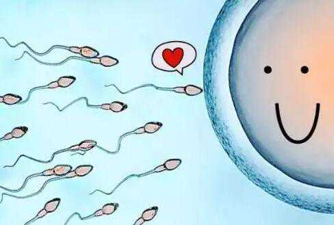太原试管代孕第几代 太原试管供卵费用明细 ‘b超单哪里能看出是男是女’