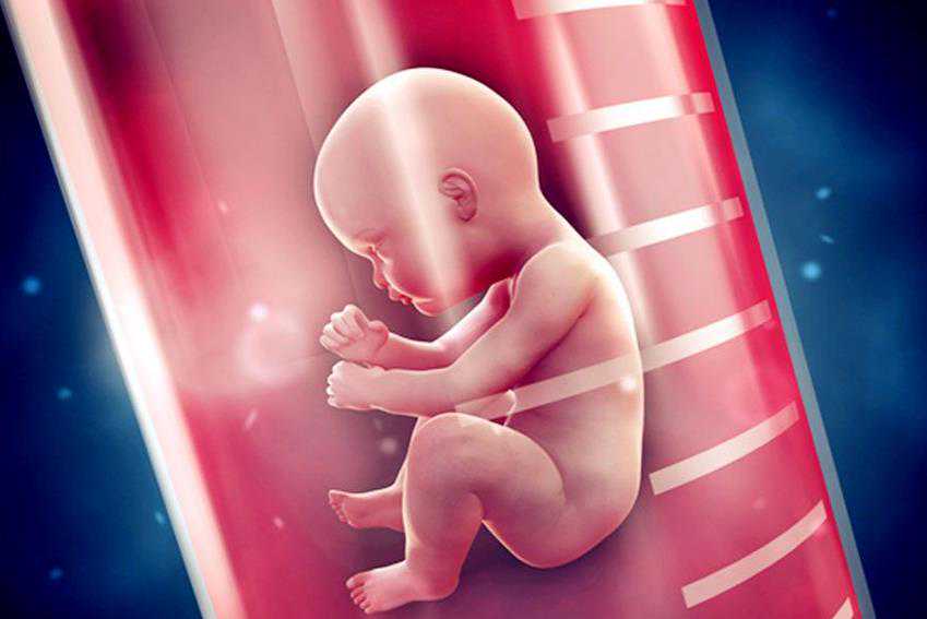太原混血捐卵 2022年太原试管婴儿费用明细 ‘怀孕21周男孩特征图片’
